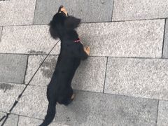 -派联宠物医院·24h·CT·异宠