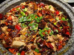 -陈麻婆豆腐总店