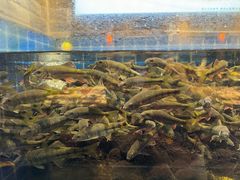 -健眺小海鲜(临海后山店)