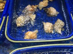 -活泼海鲜烧烤(美食街总店)