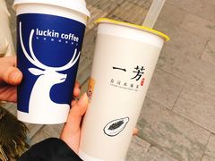 -奈雪的茶(大悦城店)