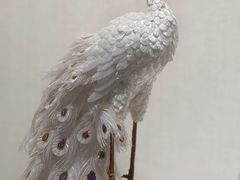 -中国彩灯博物馆
