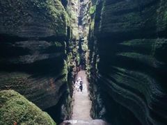 -梭布垭石林景区