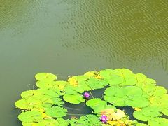 -观澜湖生态运动公社