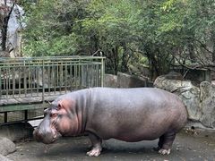 -宁波野生动物园