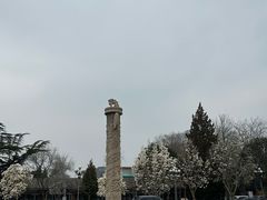 -国家图书馆·古籍馆