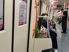 -杨高南路(地铁站)