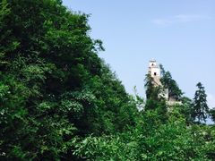 -塔云山