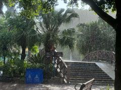 -重庆海昌加勒比海水世界