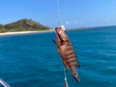 -小猫钓鱼海钓俱乐部(椰梦长廊店)