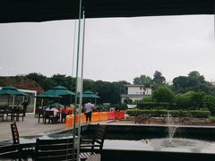 -厦门悦华酒店·绿庭主题自助餐厅