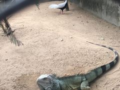 -卡塞拉自然公园