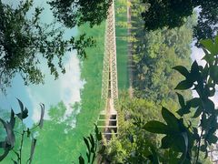 -广州市流溪河国家森林公园