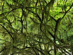 -西岭雪山大飞水景区