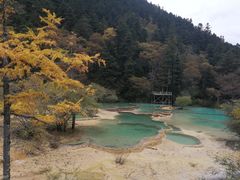 -黄龙山原始森林景区