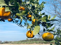 -红莲湖旅游度假区