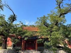 -静莲斋(仙人洞店)