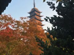 -常熟方塔园