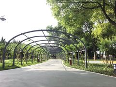-汉水公园