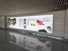 -张家界荷花国际机场