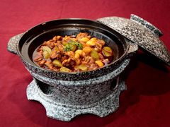 斑头雁肉质紧密鲜美，红焖则口感细腻而浓郁-茶席蓉会(ICON·英郡二期店)