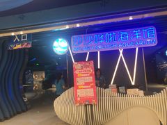 -沙沙哗啦海洋馆(华宇百花谷店)