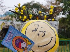 -史努比缤纷世界