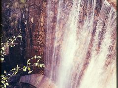 -祁门牯牛降观音堂风景区