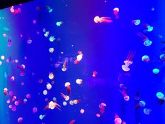 -成都浩海立方海洋公园