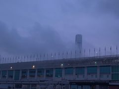 -星光大道