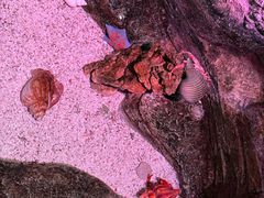 -沈阳海洋探索中心