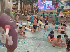 -南宫温泉水世界