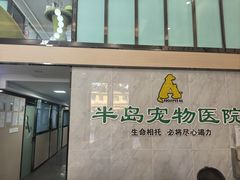 -半岛宠物医院24小时(科华中路店)