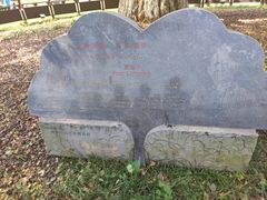 -千年银杏谷文化旅游区
