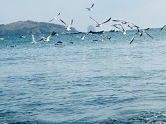 -银沙滩浴场