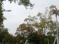 -光谷希尔顿酒店-厨意意大利餐厅(鸿雁路店)