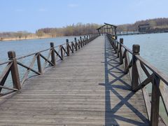 -溱湖国家湿地公园