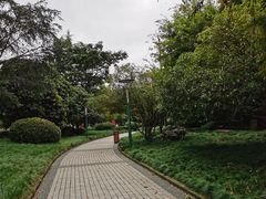 -神仙树公园