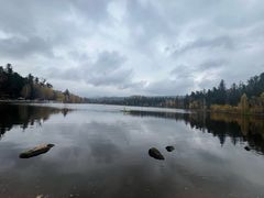 -五营红松林海景区