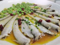 清蒸刀鱼-宾湖农庄·农场特色(太湖龙之梦店)