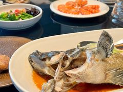 清蒸老虎斑-徐记海鲜(汉城湖|太奥店)