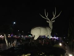 -清迈夜间动物园
