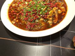 -新概念来凤鱼(璧山店)