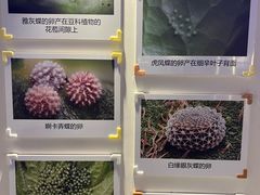 -吉林省自然博物馆