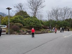 -杏花村文化旅游区