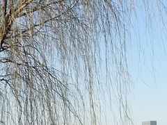 -莫子山公园