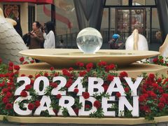 -深圳湾万象城(南山店)