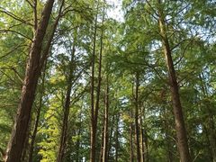 -游子山休闲旅游区