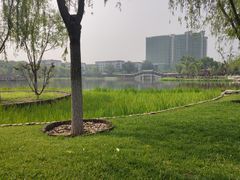 -西海子公园
