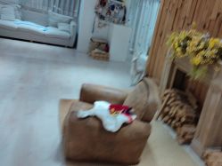 -憨大叔韩式儿童摄影 90店连锁(优加店)